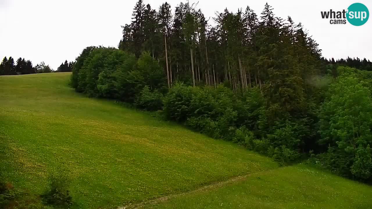 Stazione sciistica di Stari Vrh Webcam in diretta – Slovenia