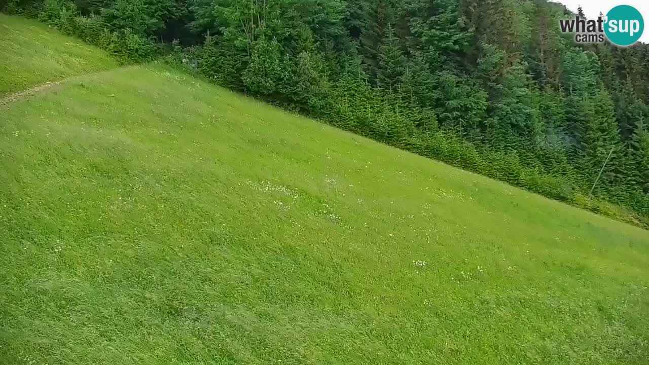 Webcam en direct de la station de ski de Stari Vrh – Slovénie