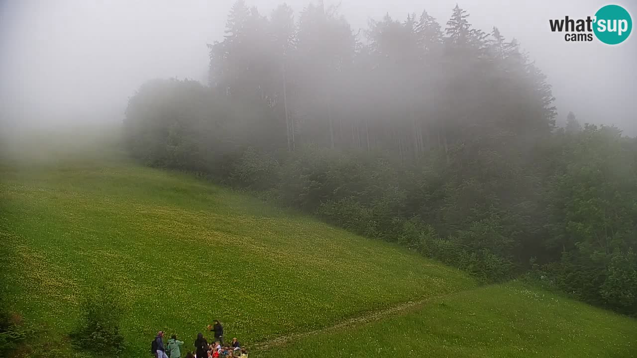 Webcam en direct de la station de ski de Stari Vrh – Slovénie
