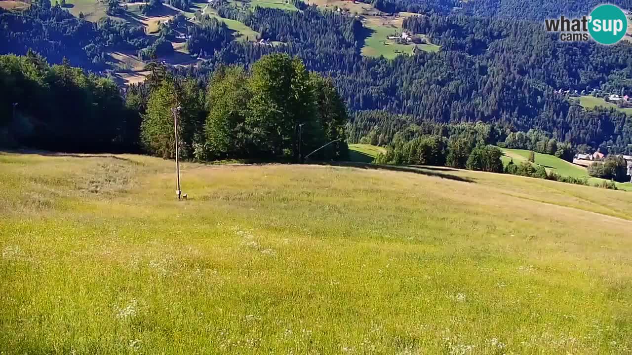 Stazione sciistica di Stari Vrh Webcam in diretta – Slovenia