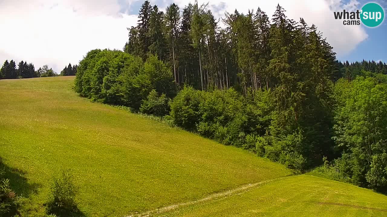 Estación de esquí Stari Vrh Cámara web en vivo – Eslovenia