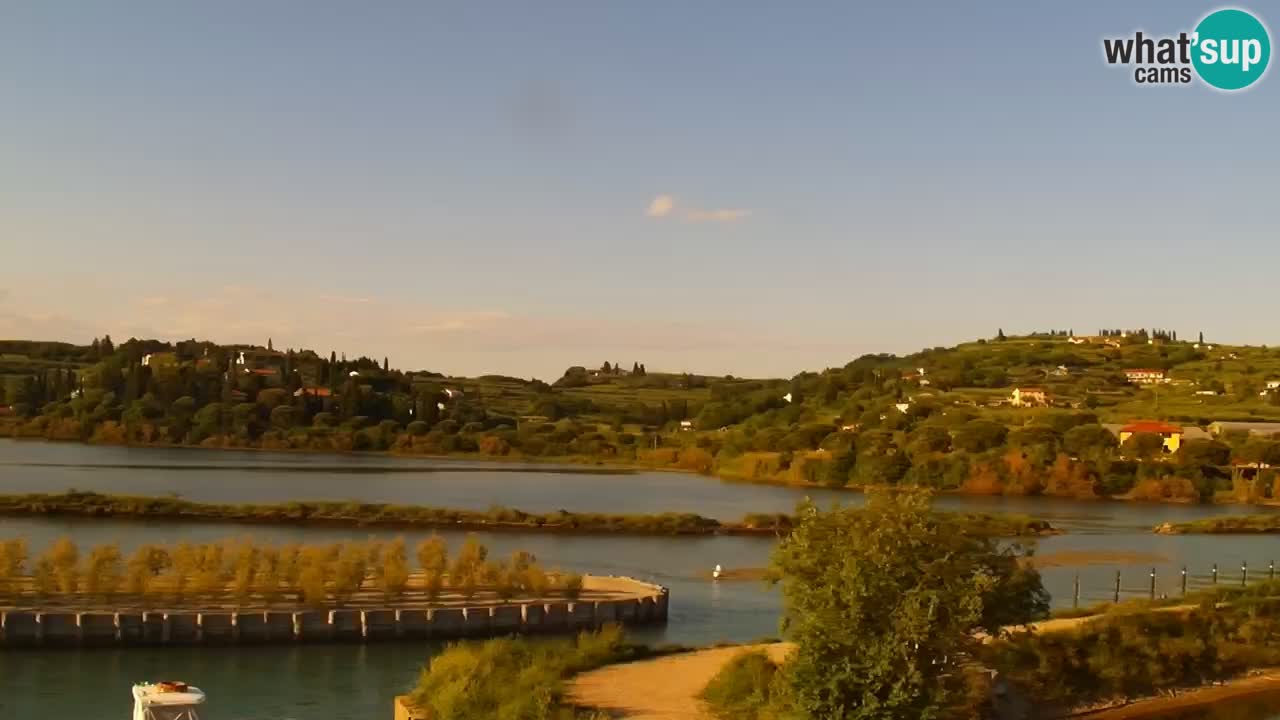 Krajinski park Strunjan v živo