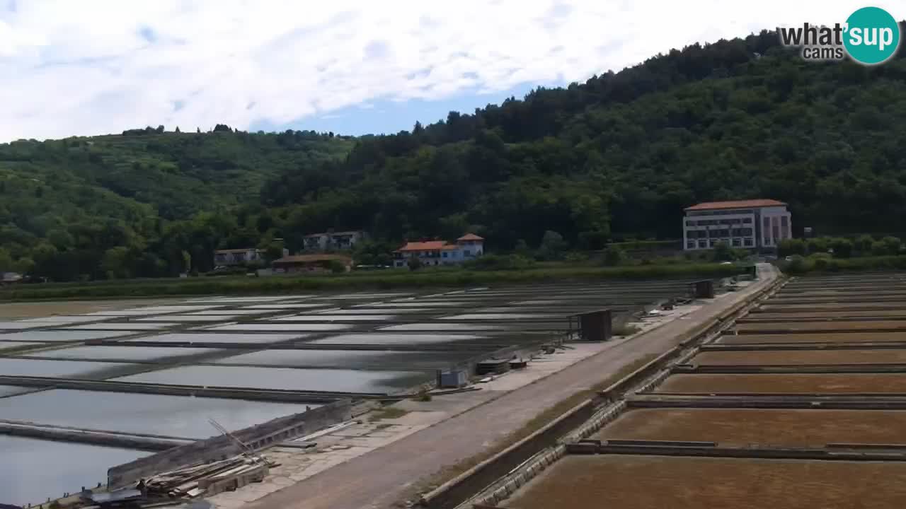 Krajinski park Strunjan u živo