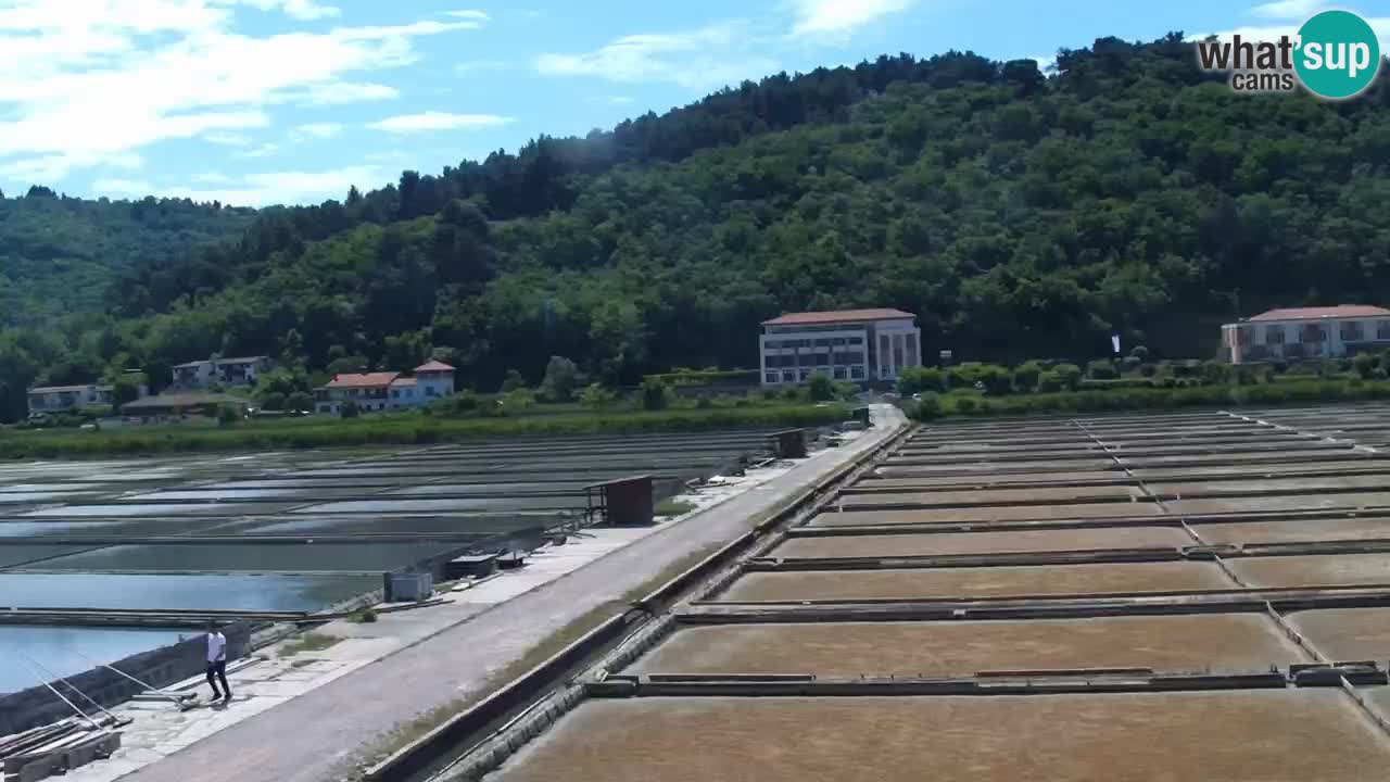 Krajinski park Strunjan