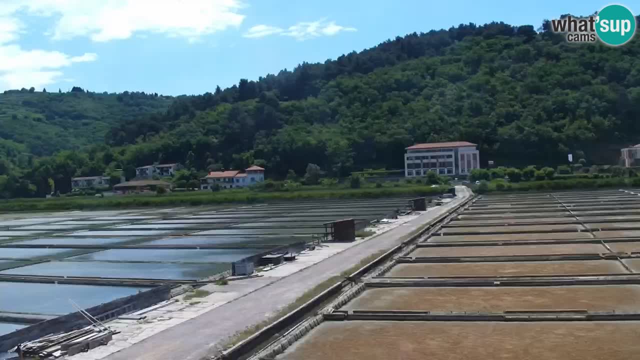 Parco naturale Strugnano
