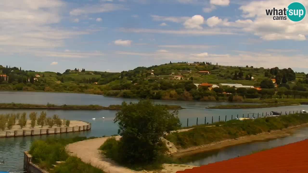 Krajinski park Strunjan v živo