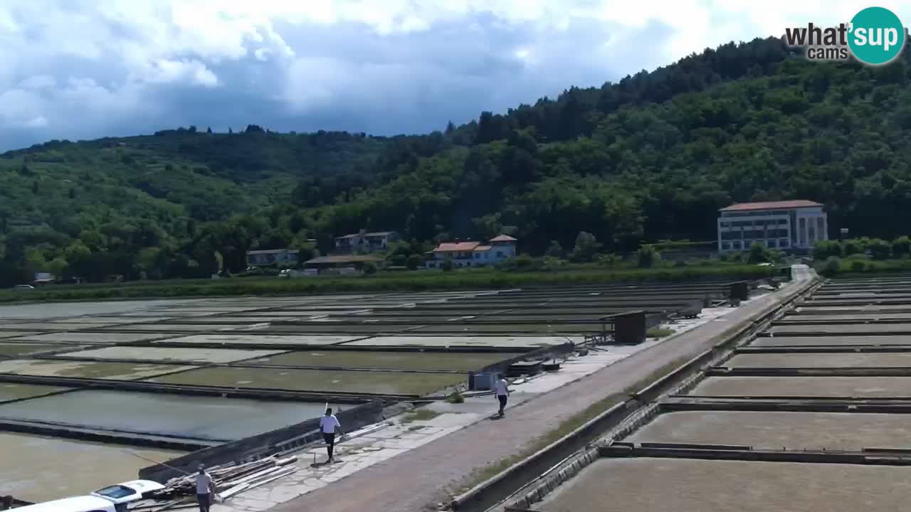 Krajinski park Strunjan v živo