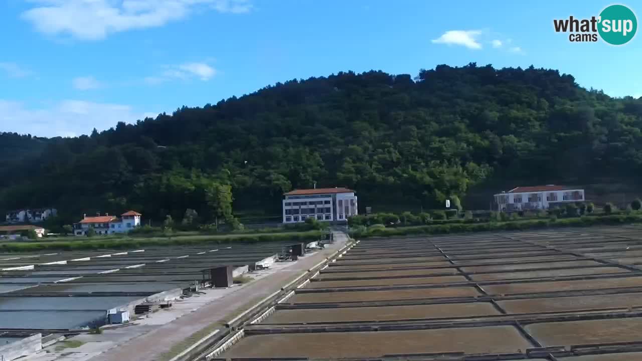 Krajinski park Strunjan
