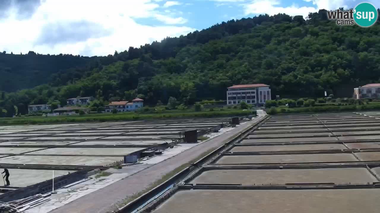 Krajinski park Strunjan u živo