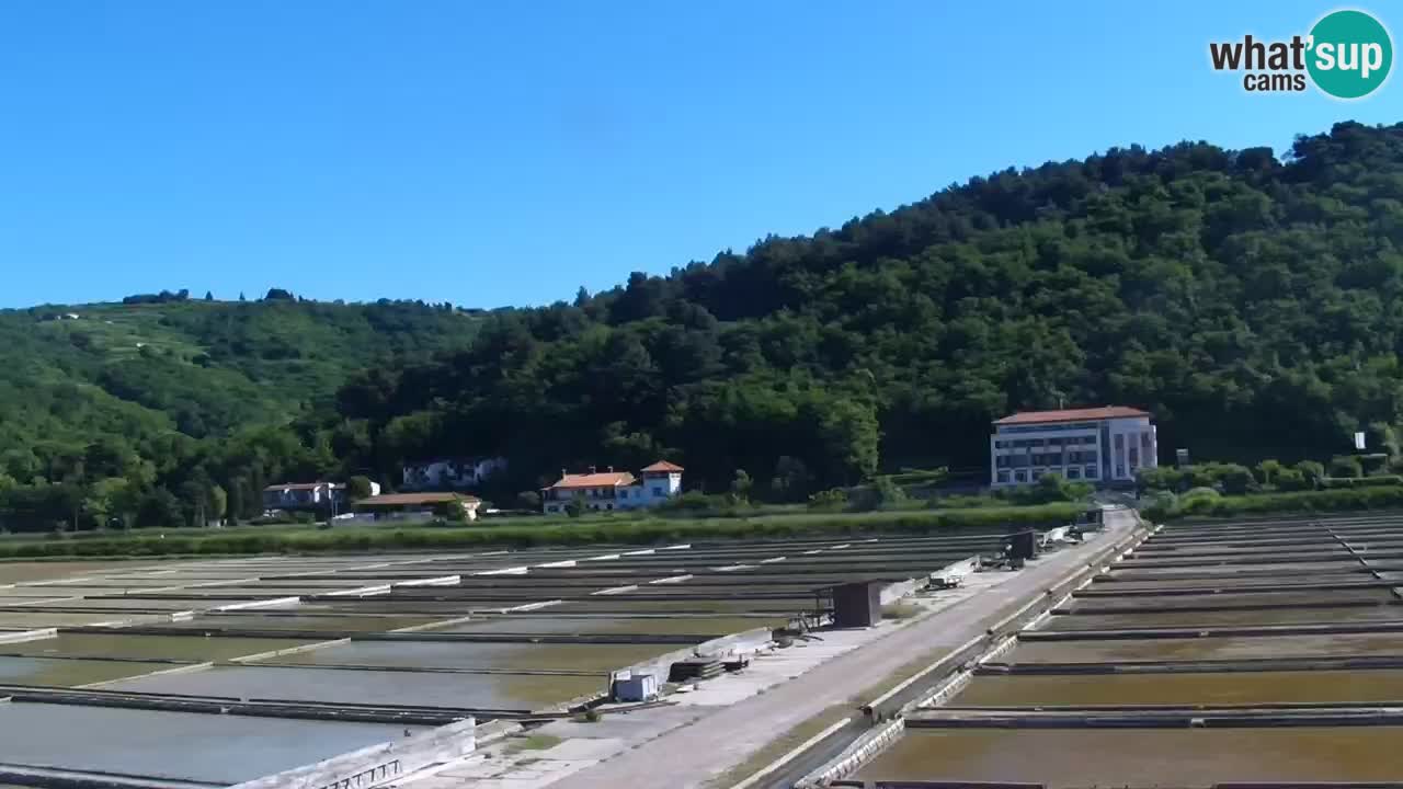 Krajinski park Strunjan