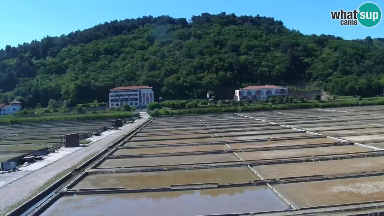 Krajinski park Strunjan