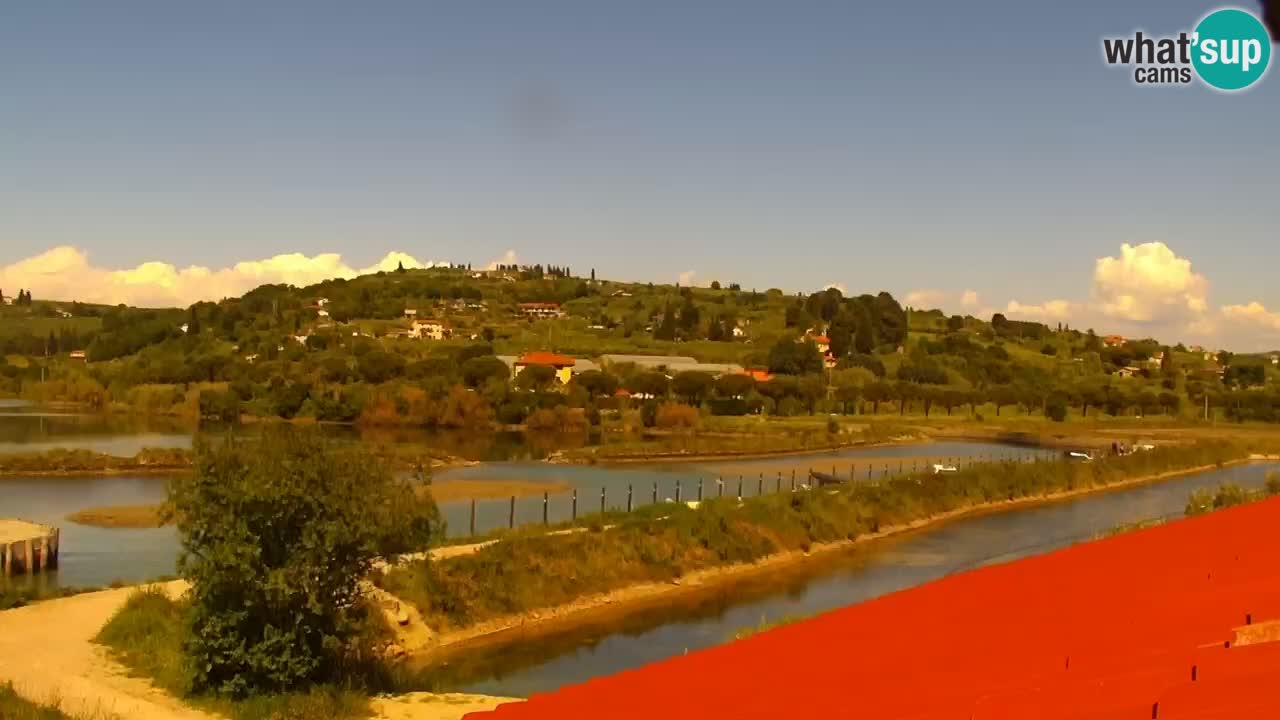 Krajinski park Strunjan u živo