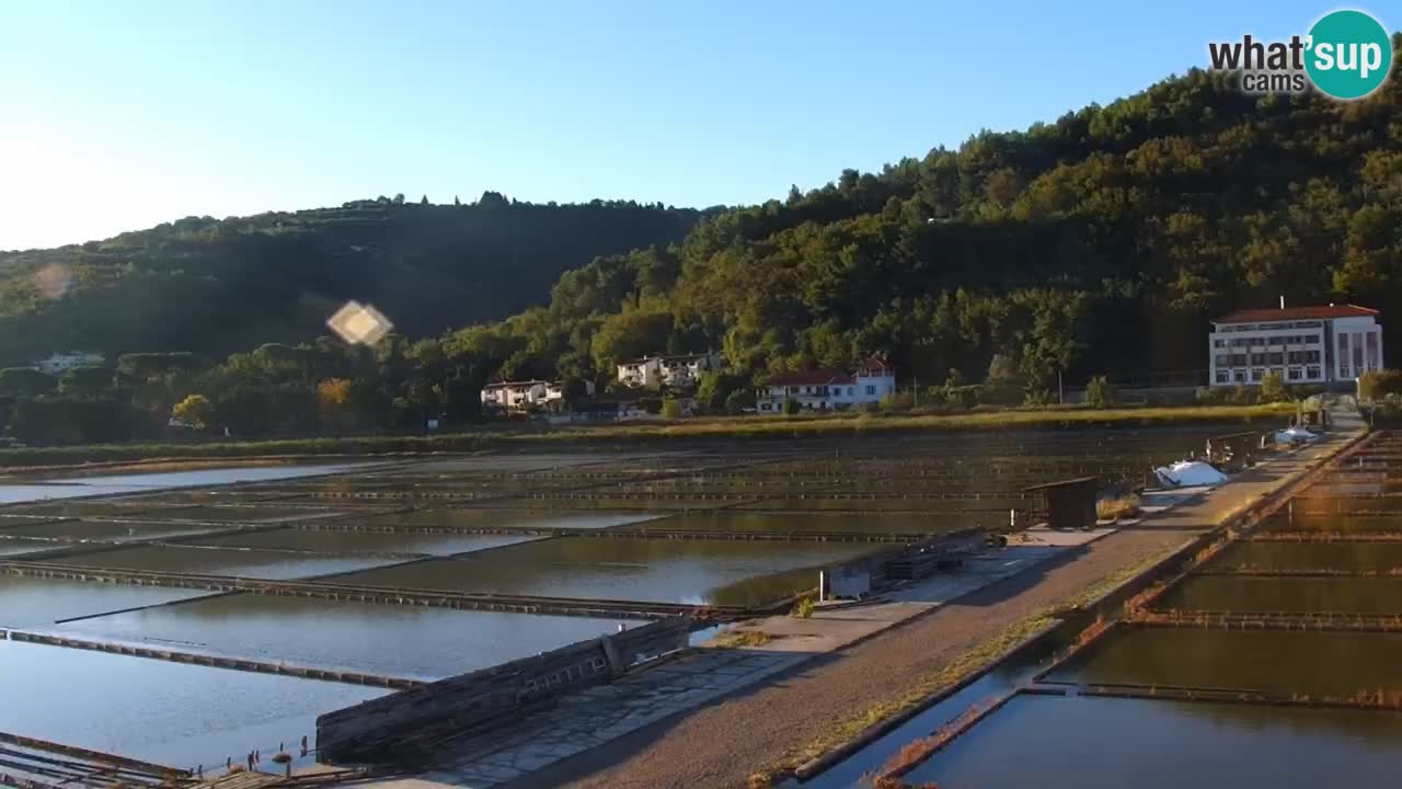 Krajinski park Strunjan u živo