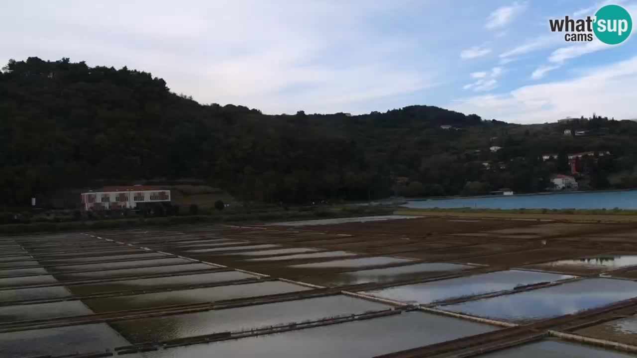 Parco naturale Strugnano