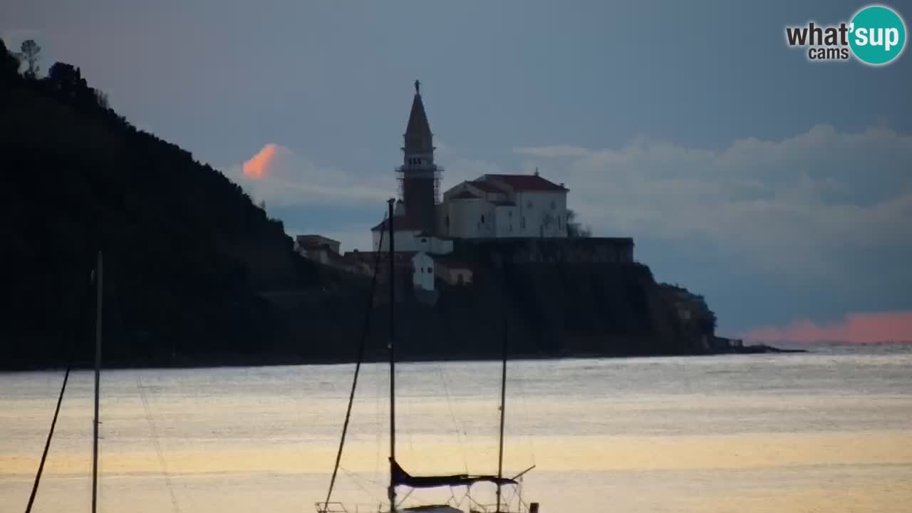 Krajinski park Strunjan u živo