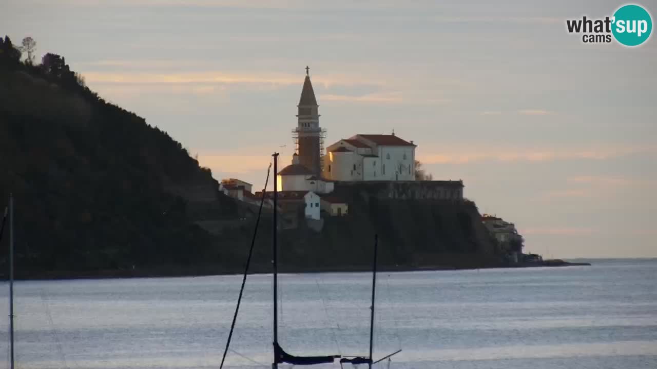 Krajinski park Strunjan v živo