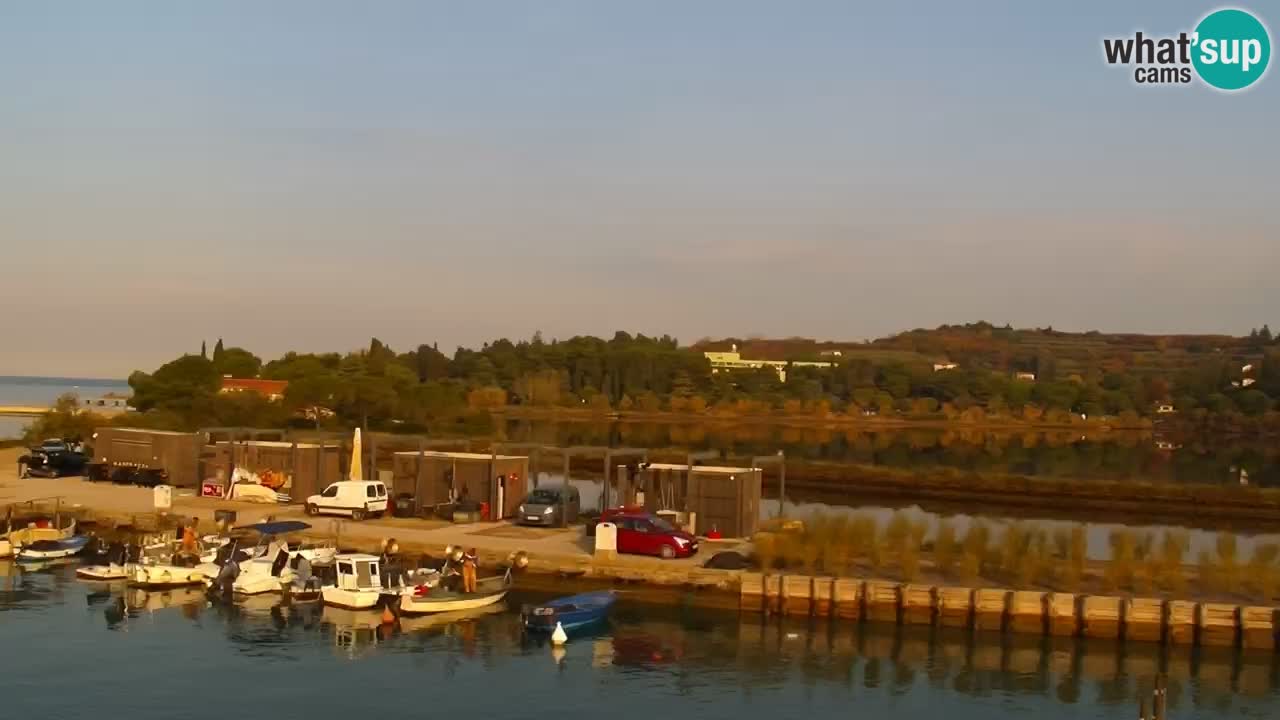 Krajinski park Strunjan u živo