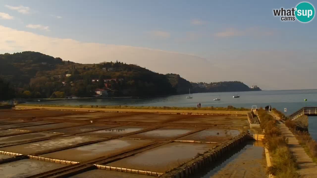 Krajinski park Strunjan u živo