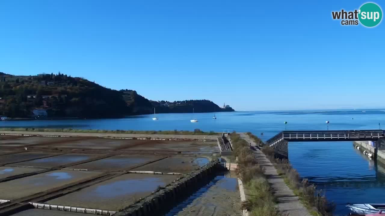 Krajinski park Strunjan u živo