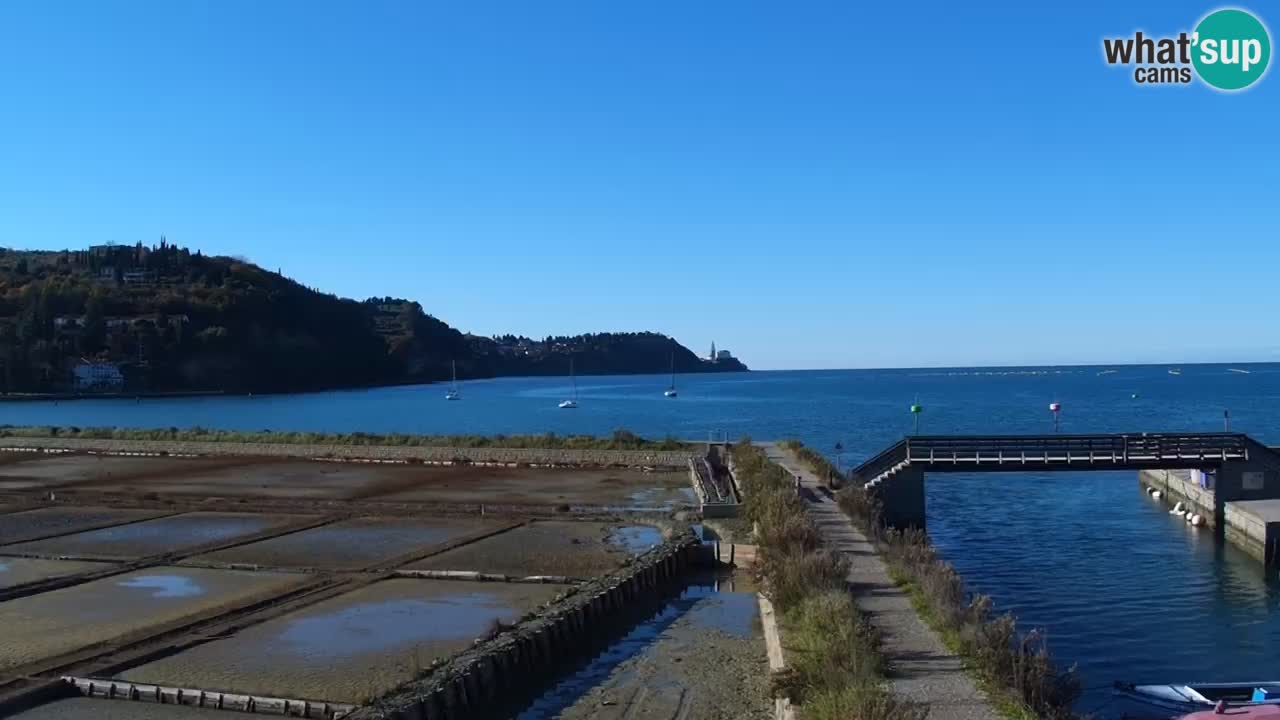 Krajinski park Strunjan u živo