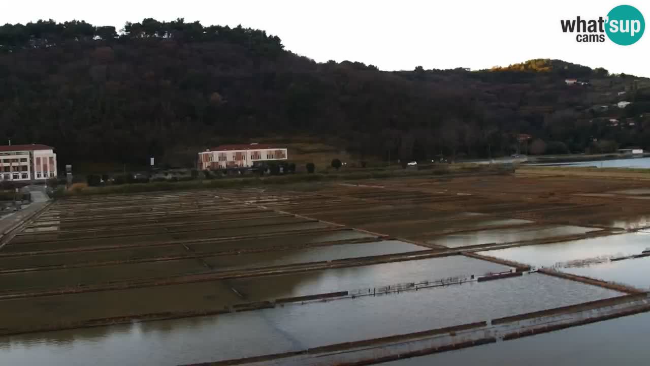 Krajinski park Strunjan