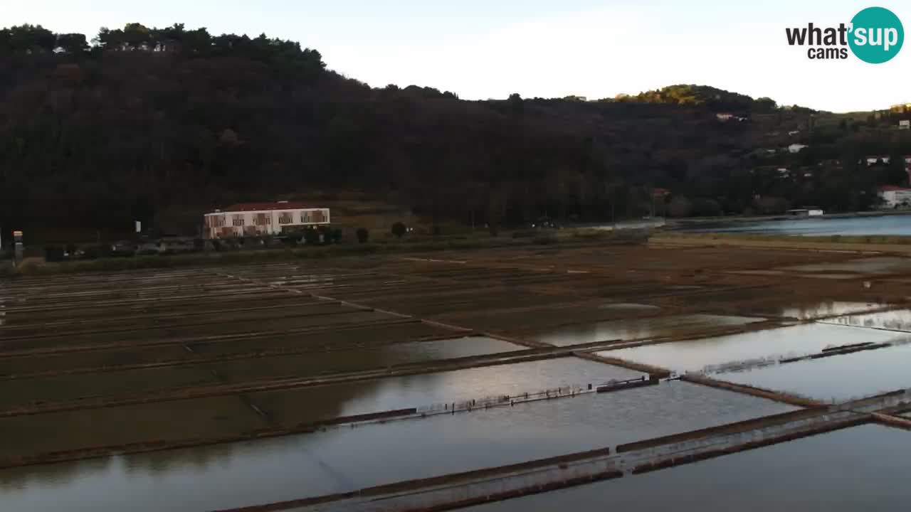 Krajinski park Strunjan v živo