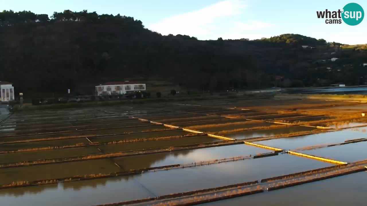 Krajinski park Strunjan v živo