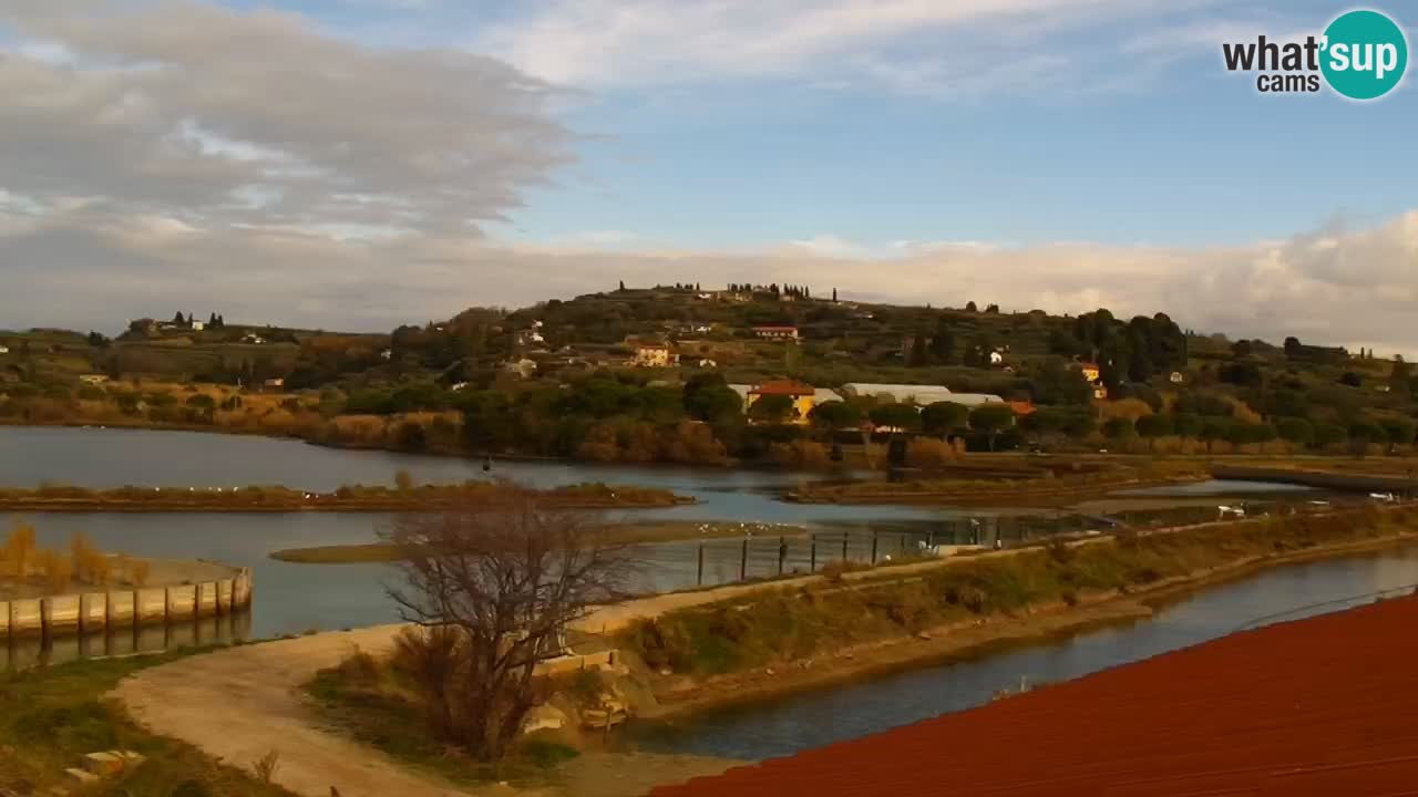 Parco naturale Strugnano