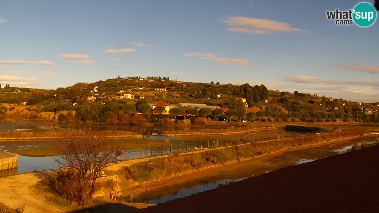 Krajinski park Strunjan