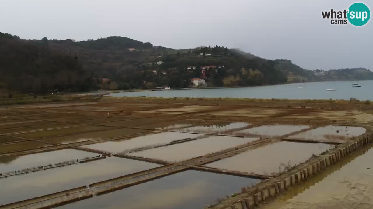 Krajinski park Strunjan