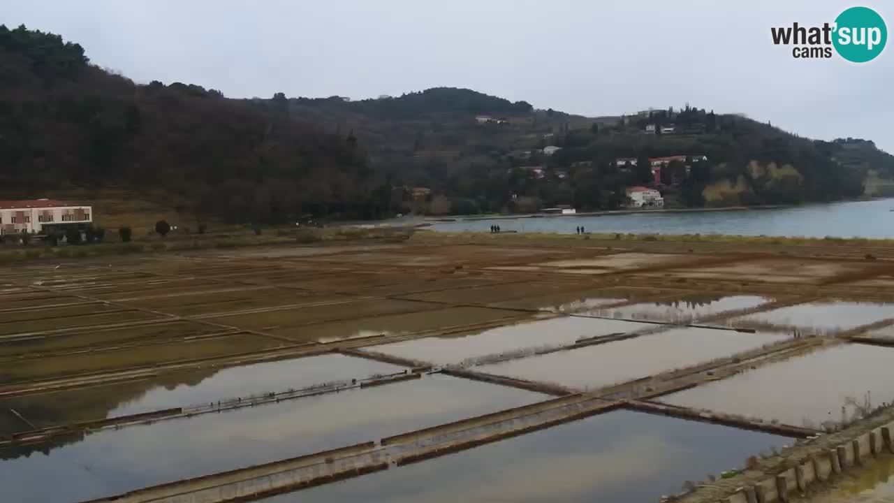 Krajinski park Strunjan