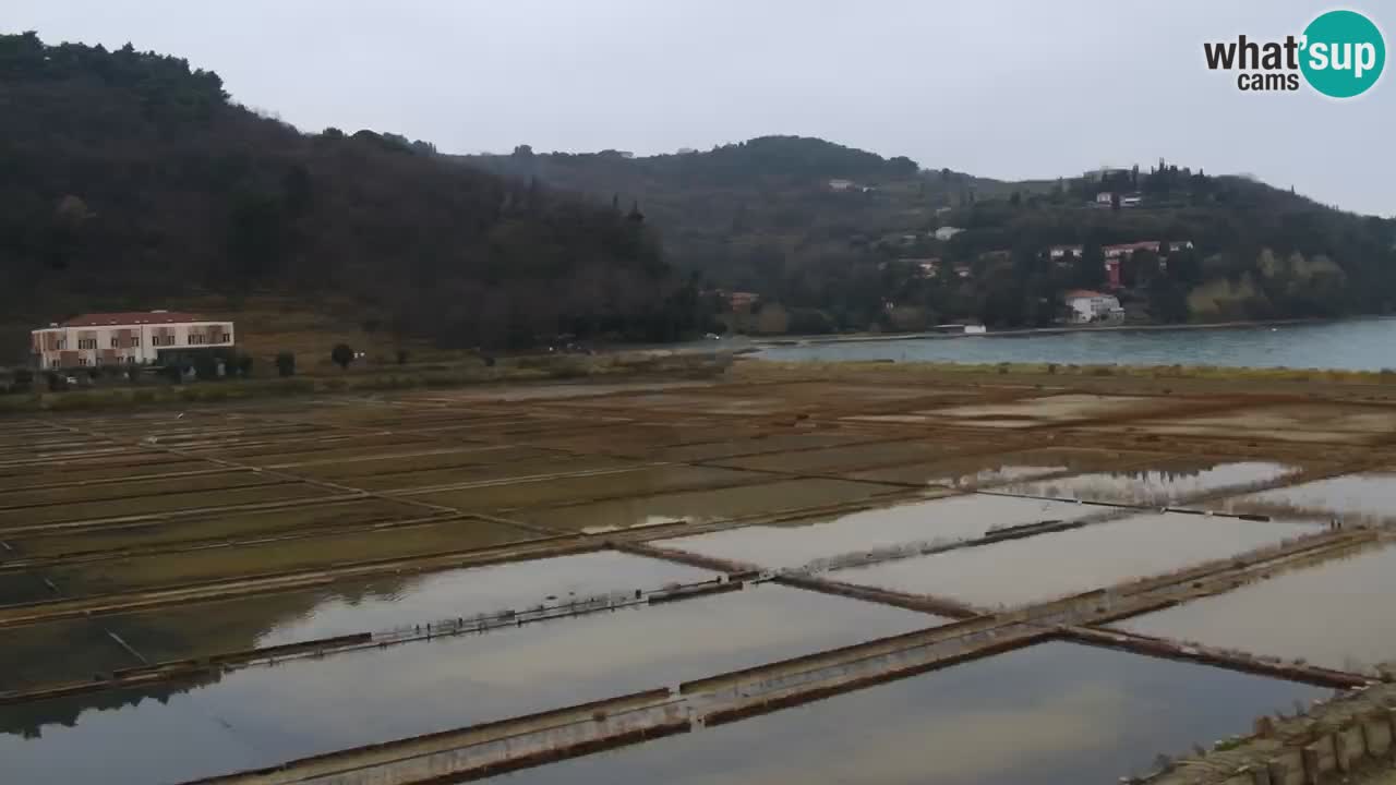 Krajinski park Strunjan