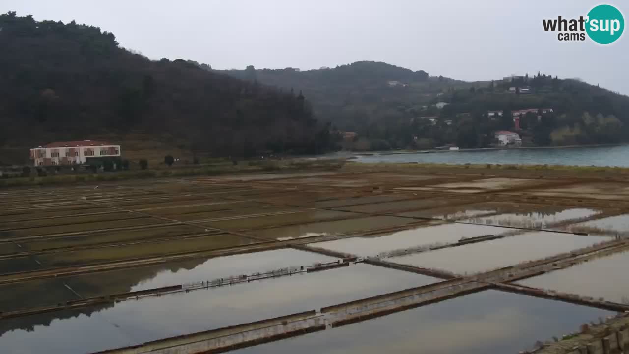 Parco naturale Strugnano