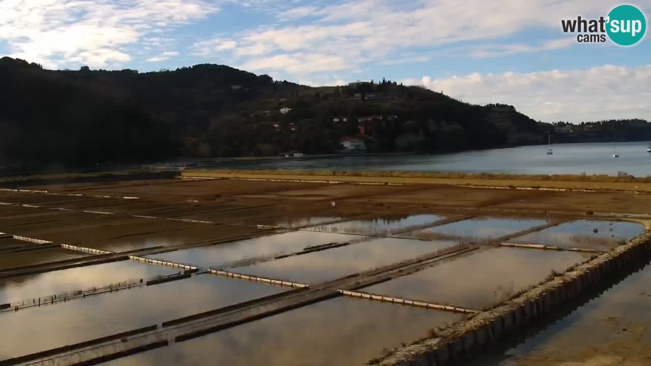 Krajinski park Strunjan