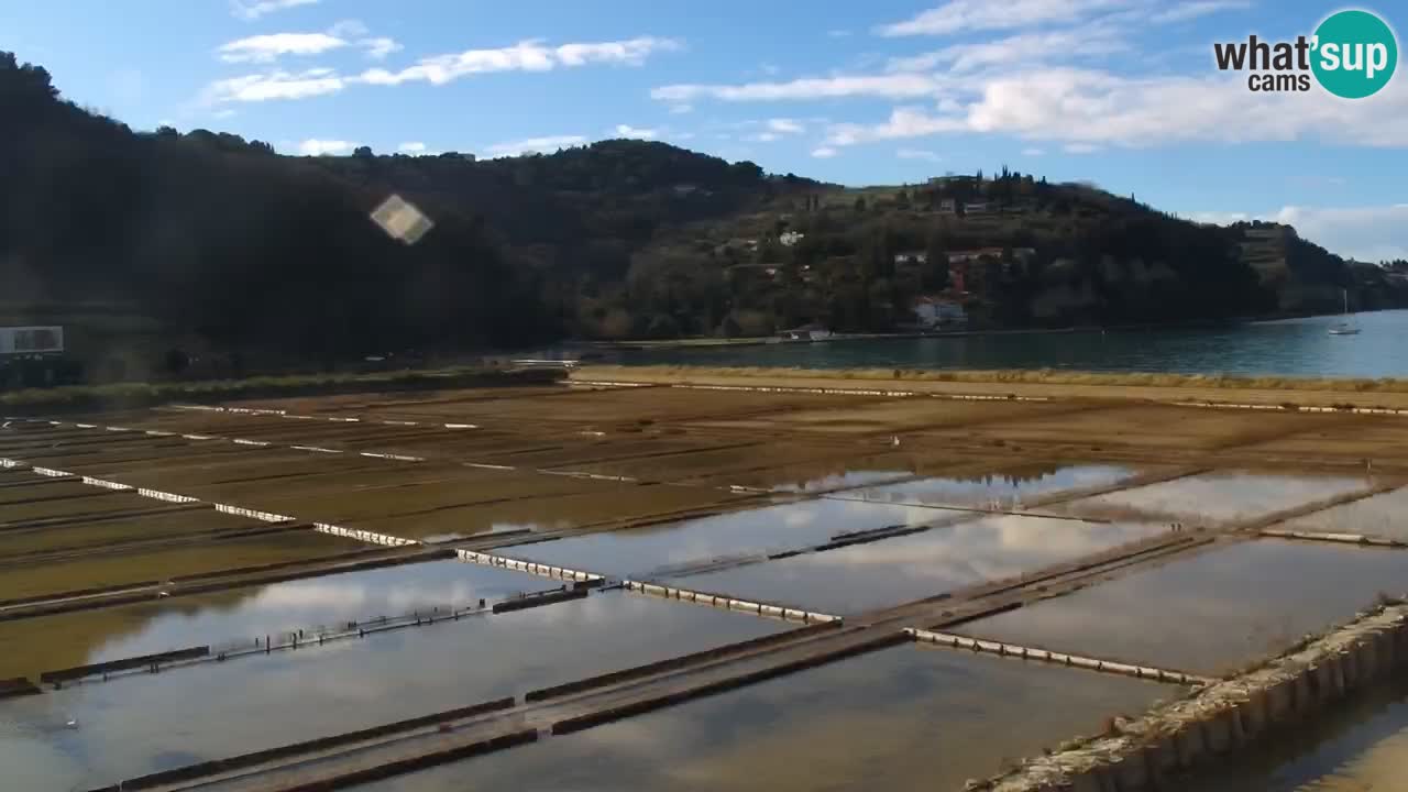 Krajinski park Strunjan