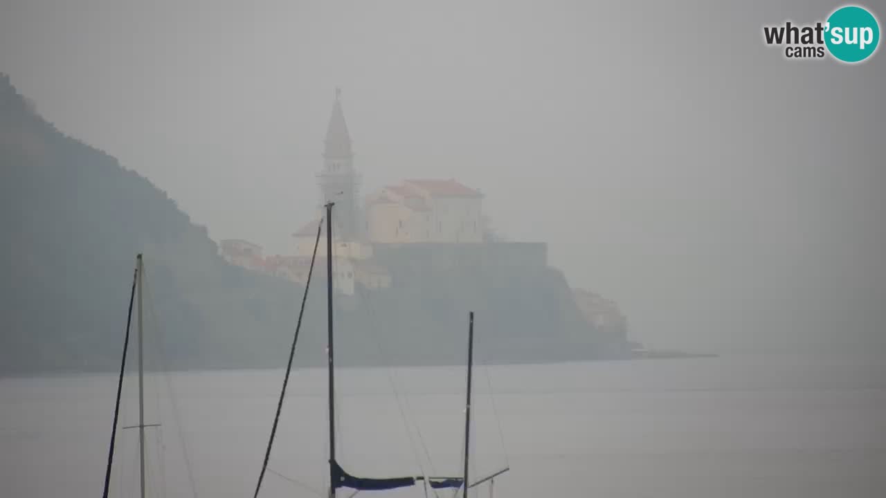 Krajinski park Strunjan u živo