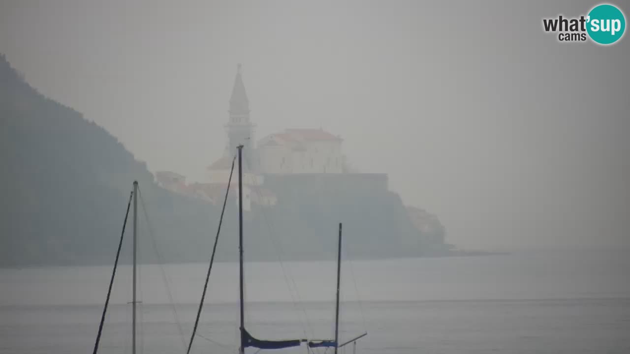 Krajinski park Strunjan v živo