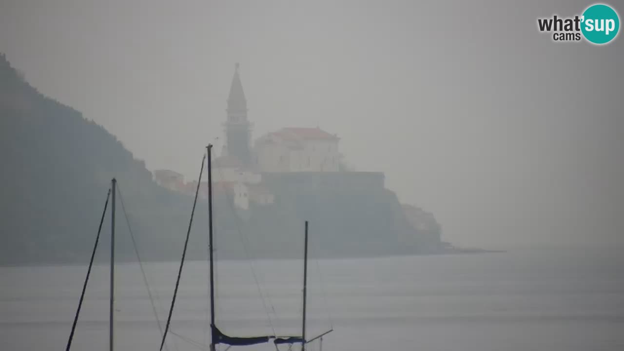 Krajinski park Strunjan v živo