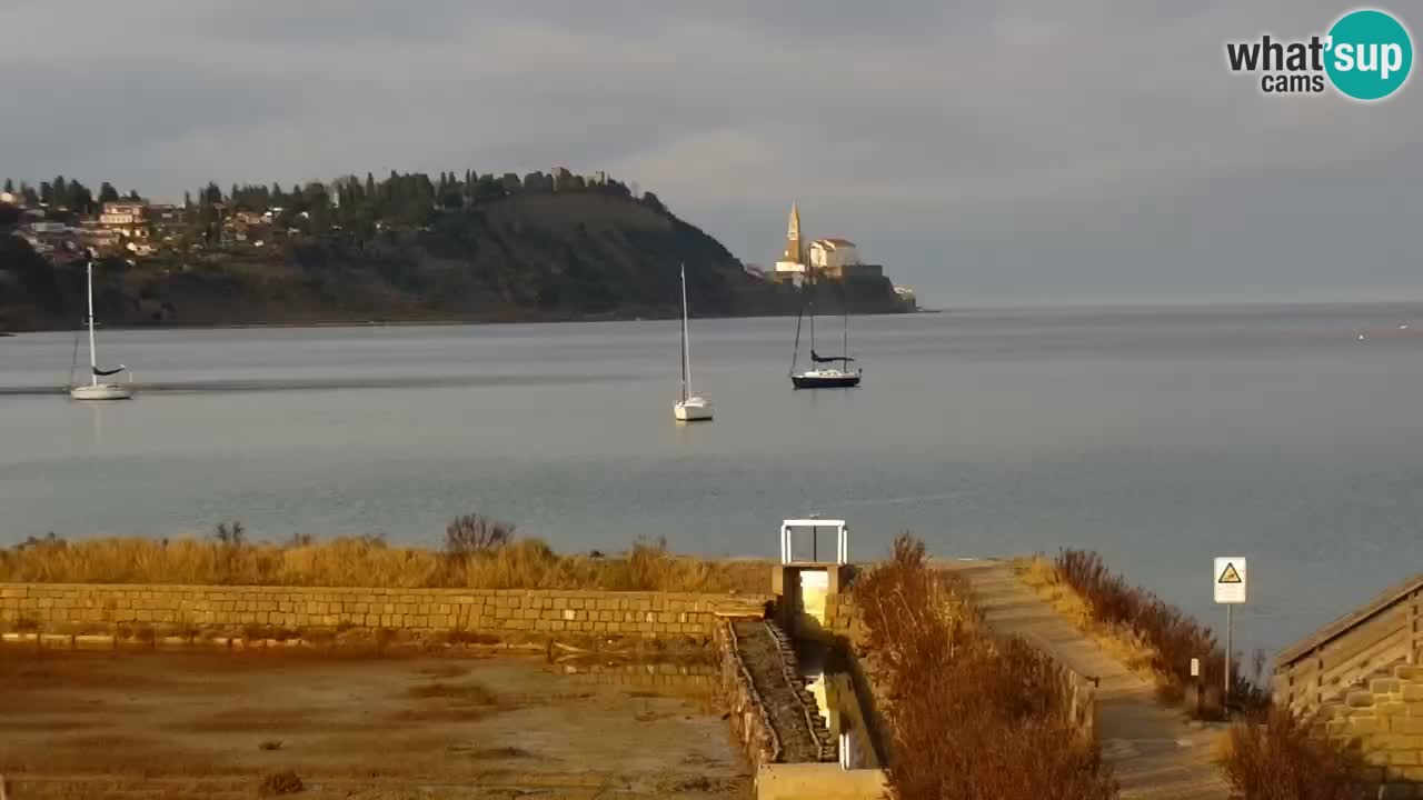 Krajinski park Strunjan u živo