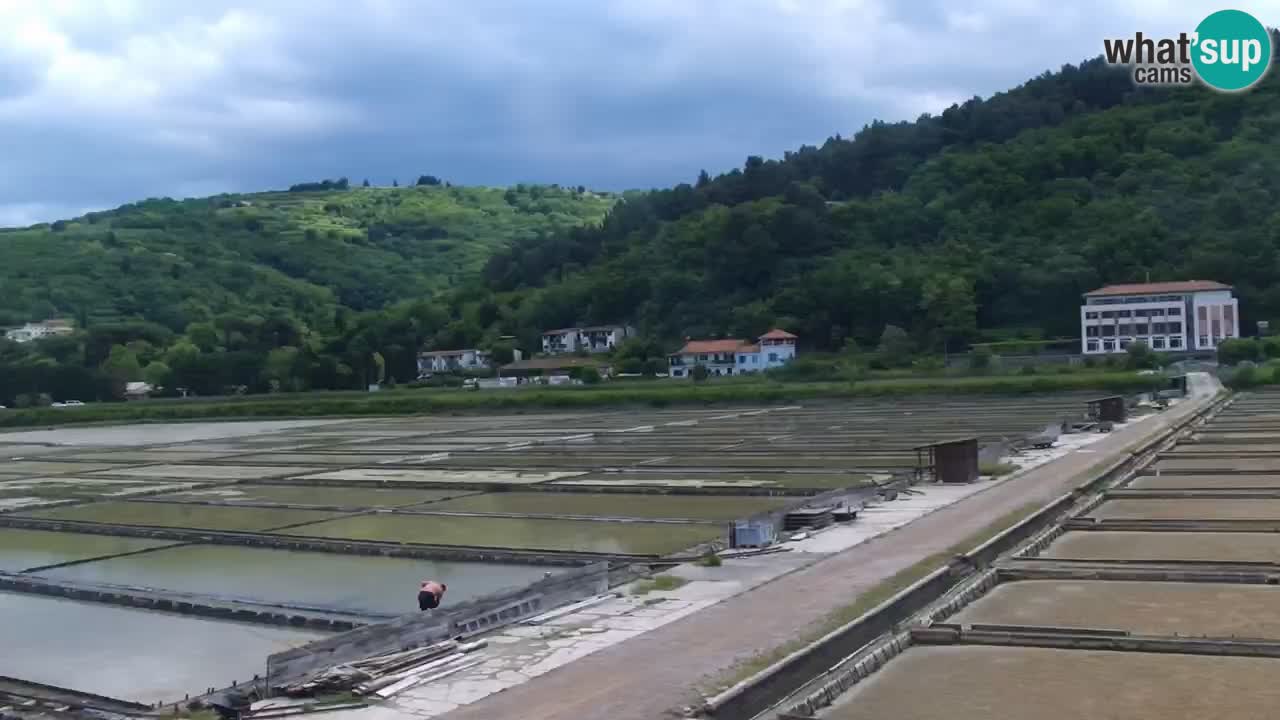 Krajinski park Strunjan