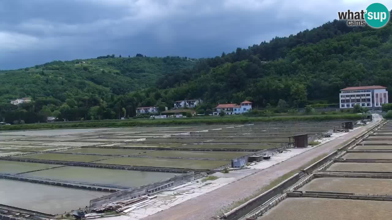 Krajinski park Strunjan