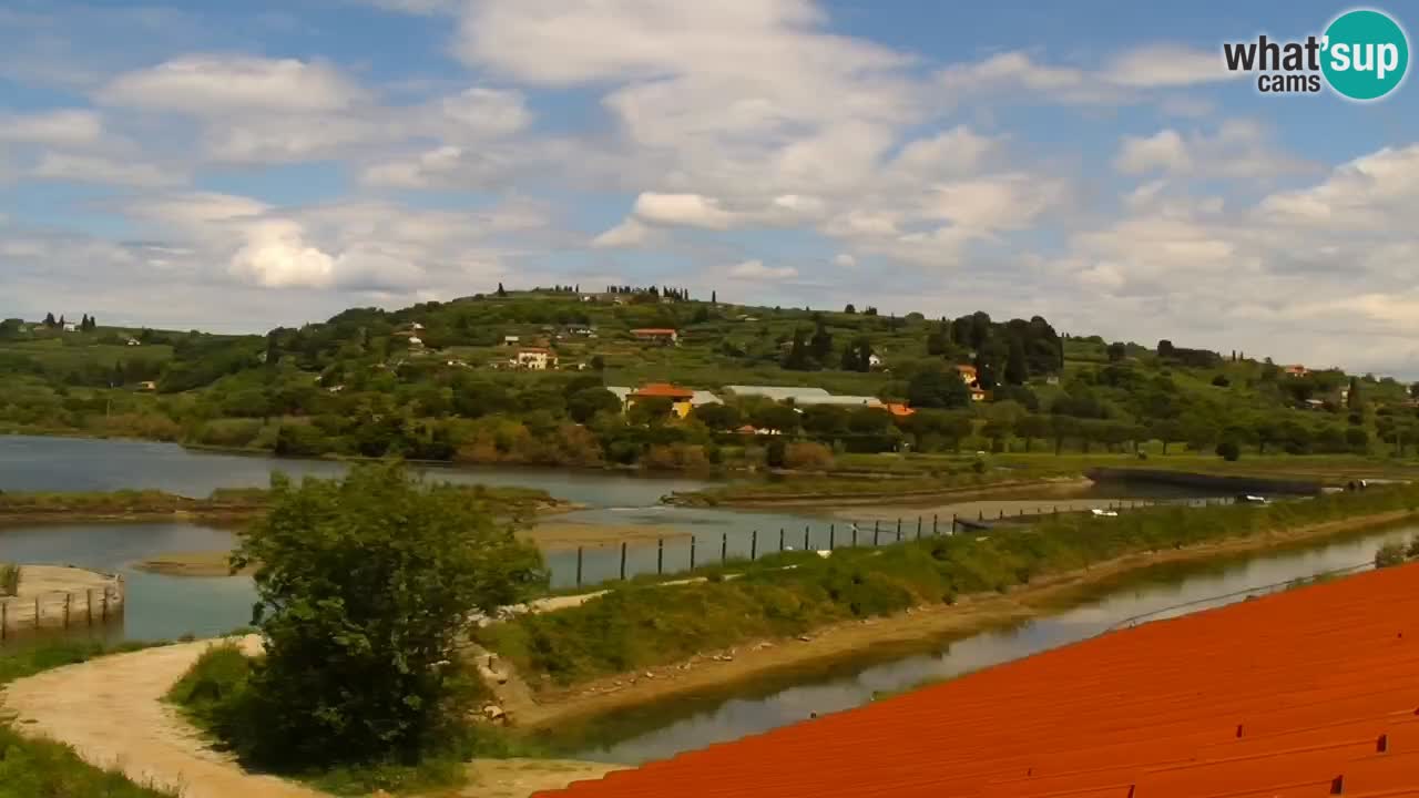 Krajinski park Strunjan