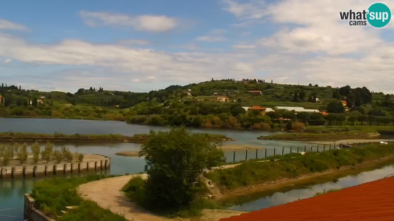 Krajinski park Strunjan