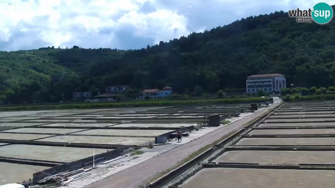 Krajinski park Strunjan