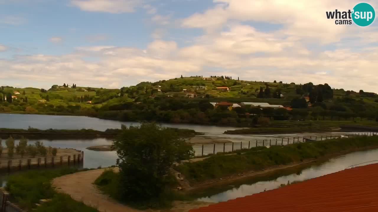 Krajinski park Strunjan