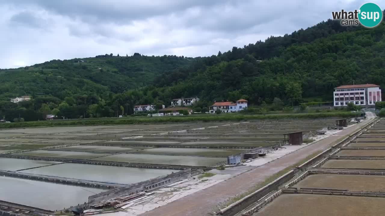 Krajinski park Strunjan