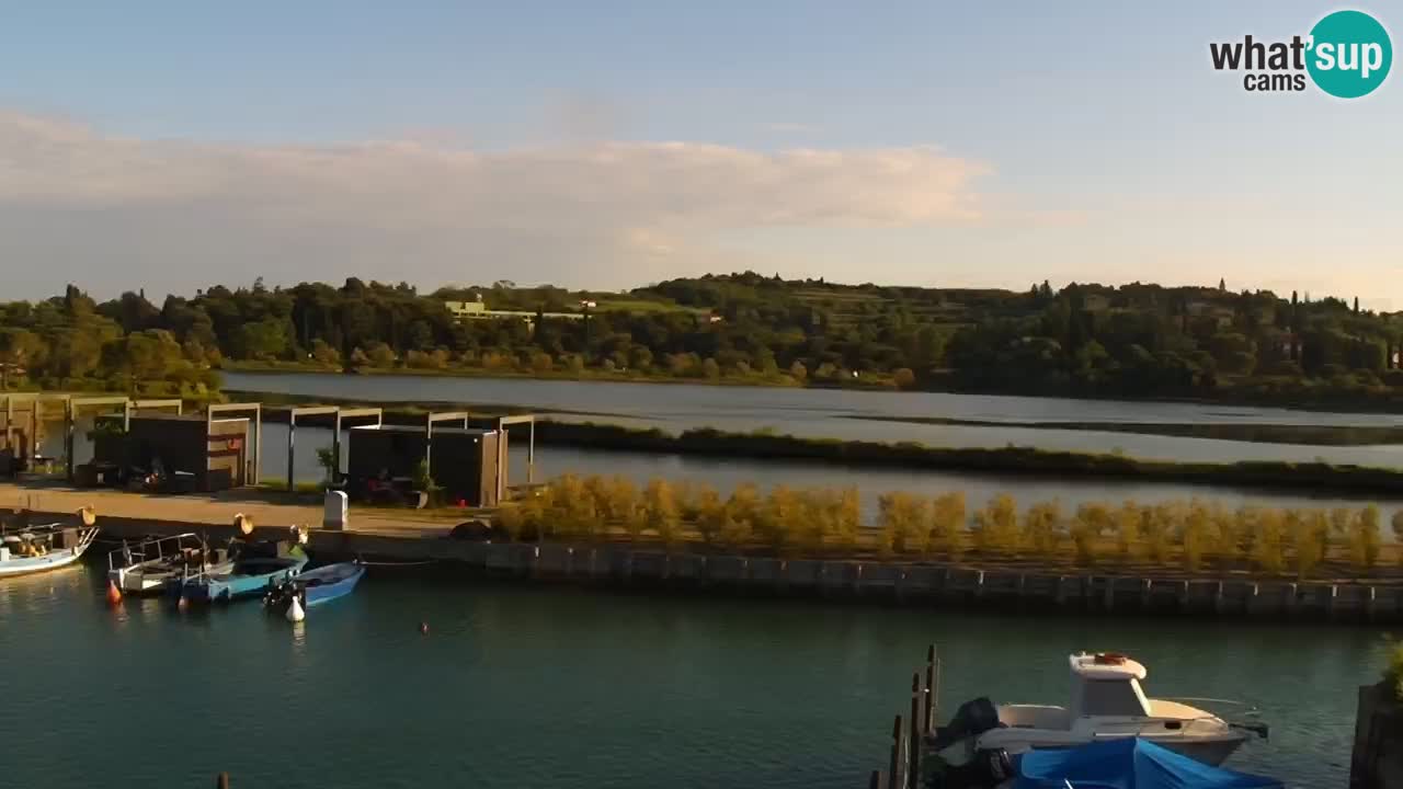 Krajinski park Strunjan u živo