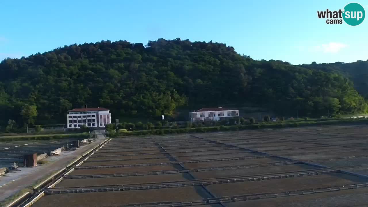 Krajinski park Strunjan v živo