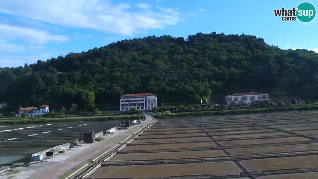 Krajinski park Strunjan
