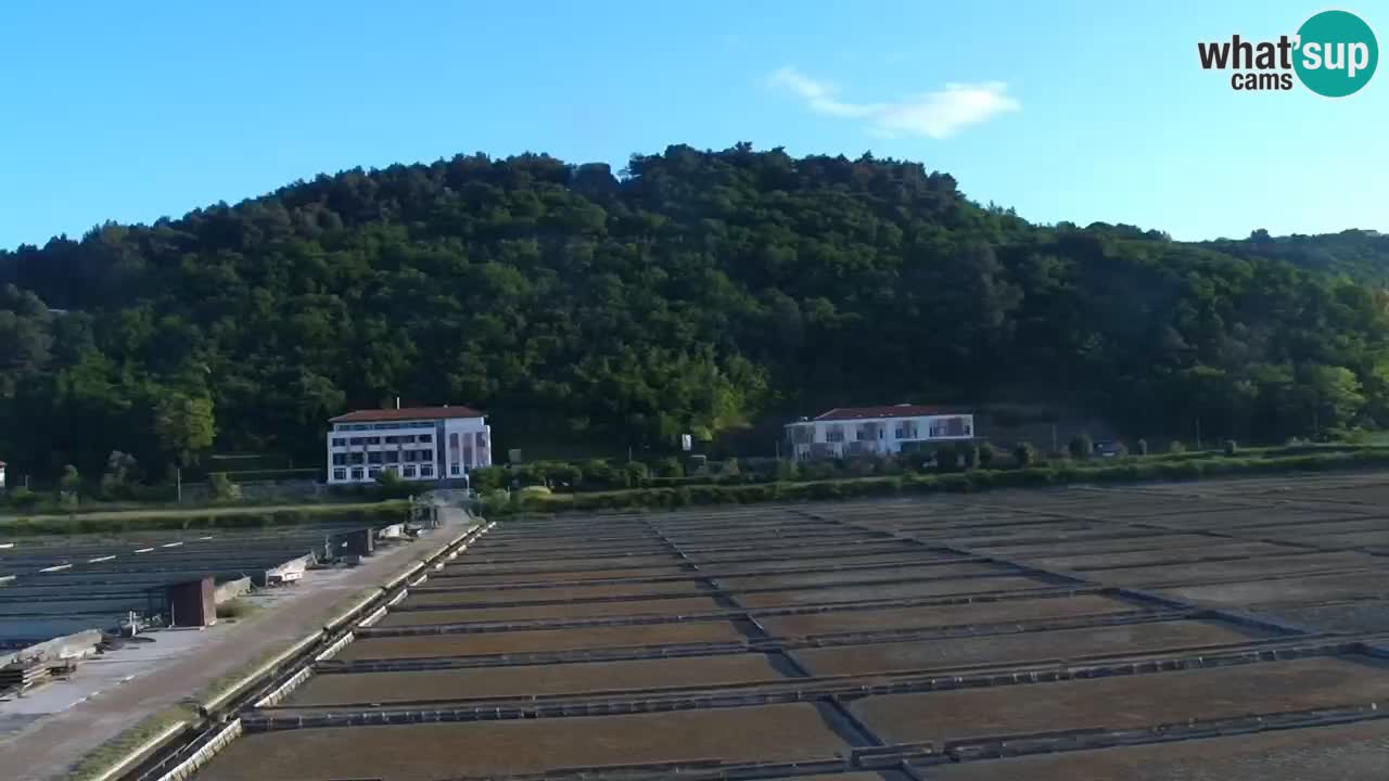 Krajinski park Strunjan